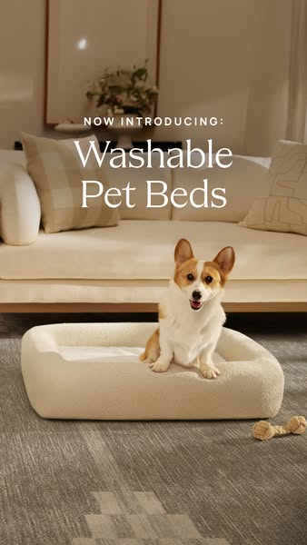 NEW: Washable Pet Beds